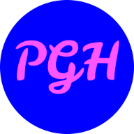 Playgroundhim Logo